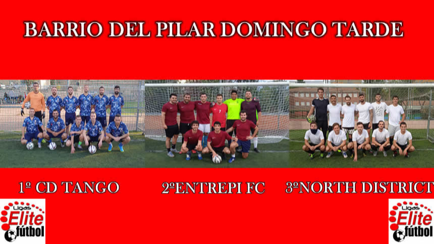 CAMPEONES DE LIGA REGULAR; BARRIO DEL PILAR DOMINGO TARDE